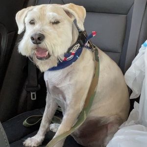 Meet your Posher, Oneida